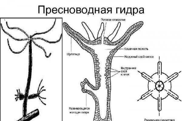 Доступ к сайту кракен