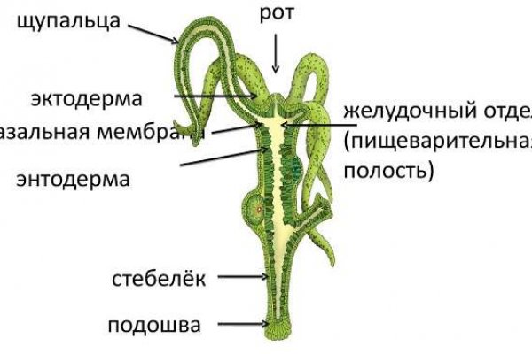 Современный маркетплейс kraken door